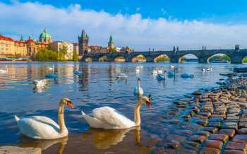 city tour prague bus